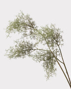 Artificial Misty Pine Foliage Stem - 30.7