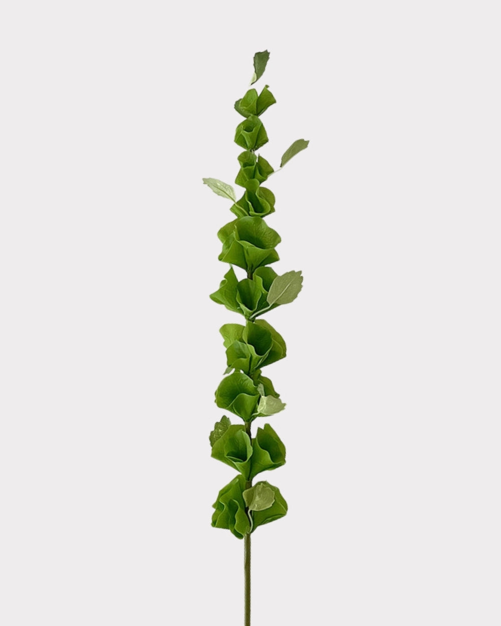 Artificial Seashell Palm Leaf Frond - 36.2"