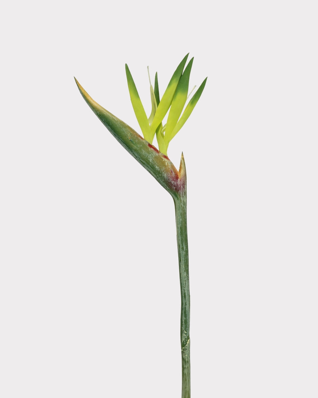 Artificial Small Bird of Paradise Faux Flower - 31.5"