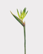Artificial Small Bird of Paradise Faux Flower - 31.5"
