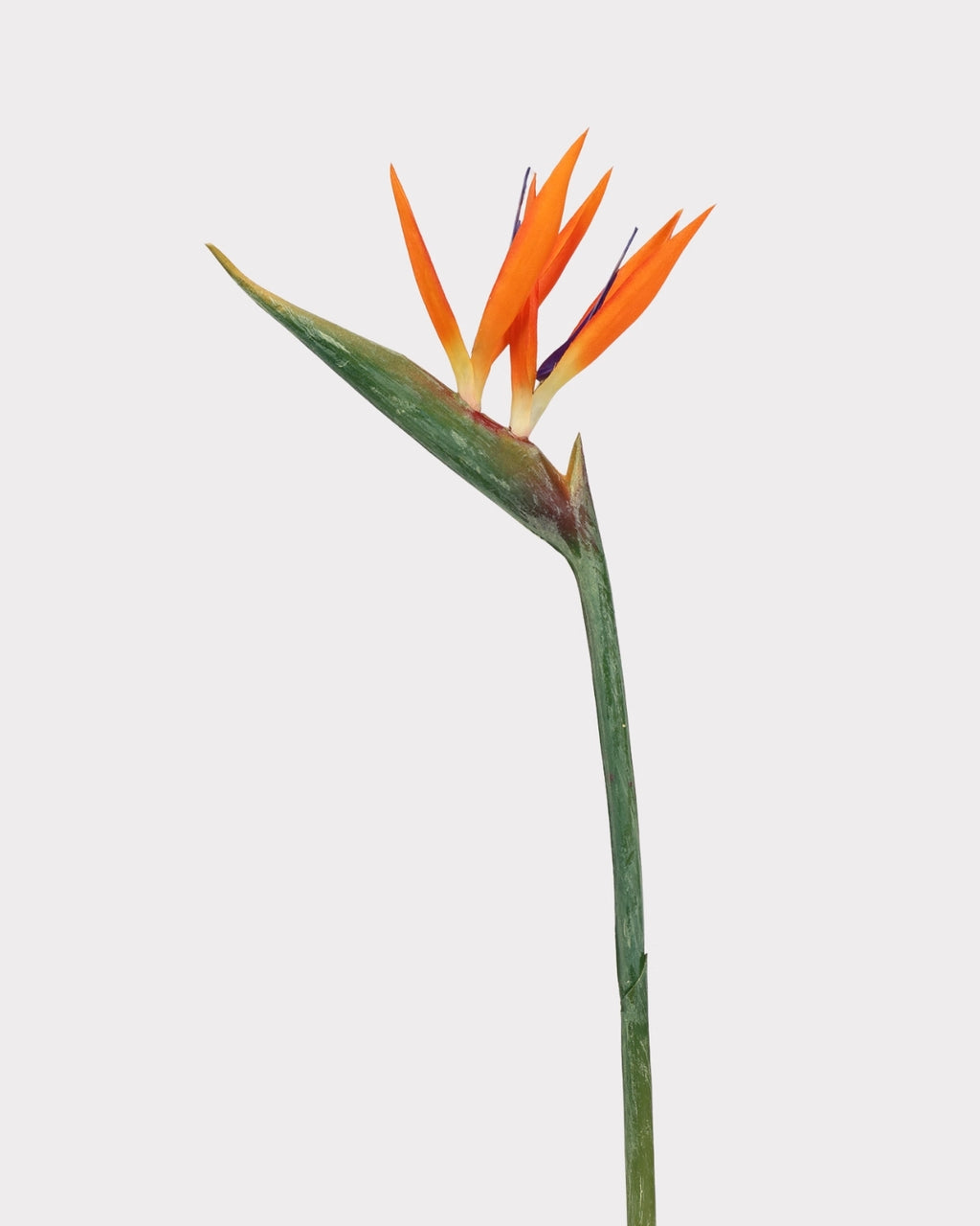 Artificial Small Bird of Paradise Faux Flower - 31.5"
