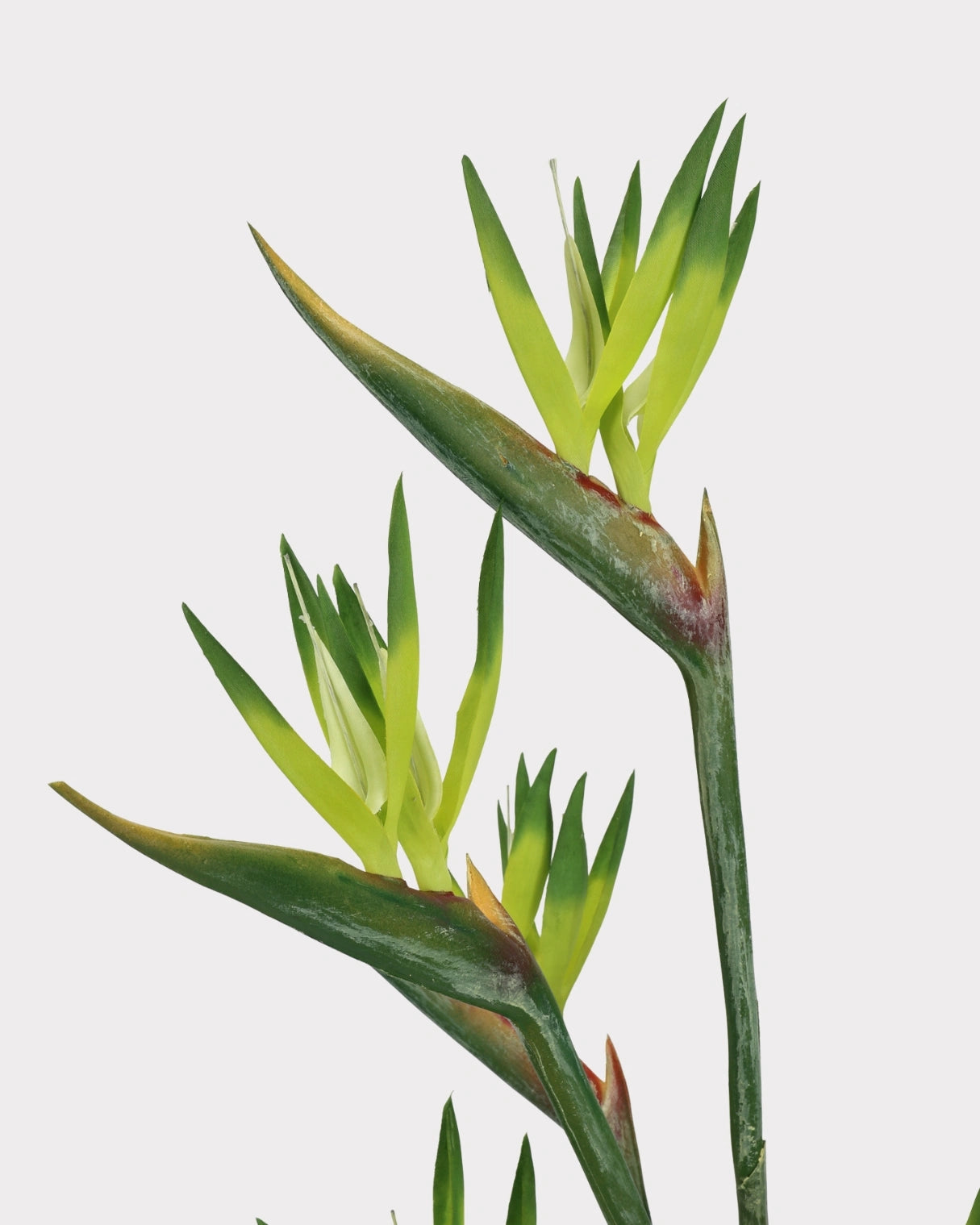 Artificial Small Bird of Paradise Faux Flower - 31.5"