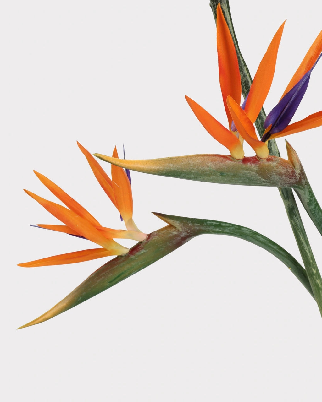 Artificial Small Bird of Paradise Faux Flower - 31.5"
