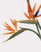 Artificial Small Bird of Paradise Faux Flower - 31.5"