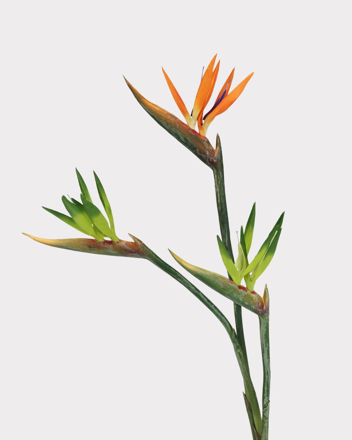 Artificial Small Bird of Paradise Faux Flower - 31.5"