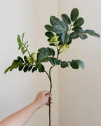 Artificial Snowflake Leaf Stem 27"