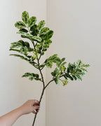 Artificial Snowflake Leaf Stem 27"