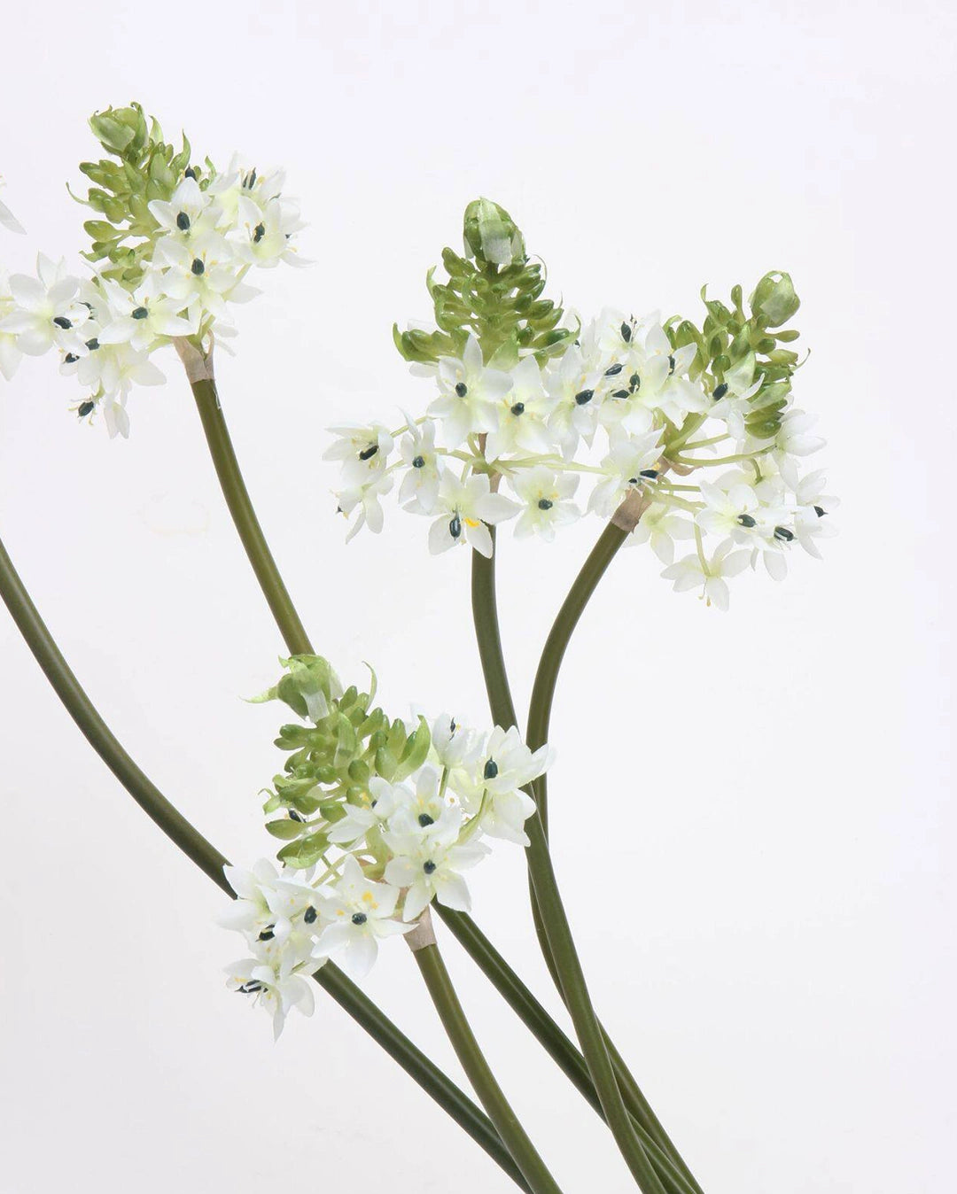 Artificial Star of Bethlehem 33"
