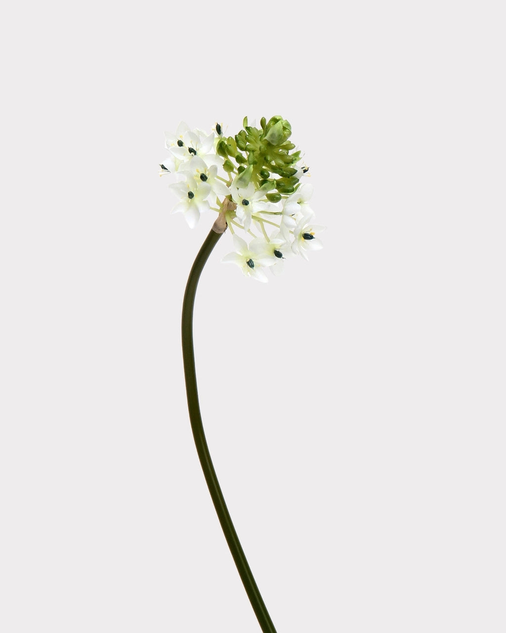 Artificial Star of Bethlehem 33"