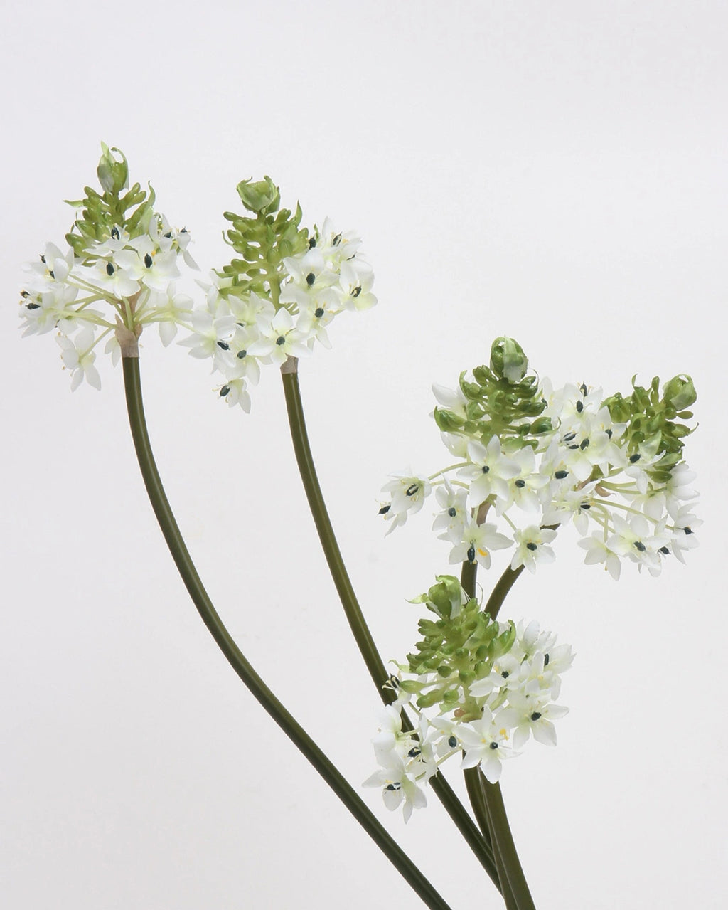 Artificial Star of Bethlehem 33"