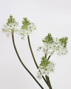 Artificial Star of Bethlehem 33"