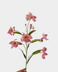 Artificial Tung Flower Stem 31"