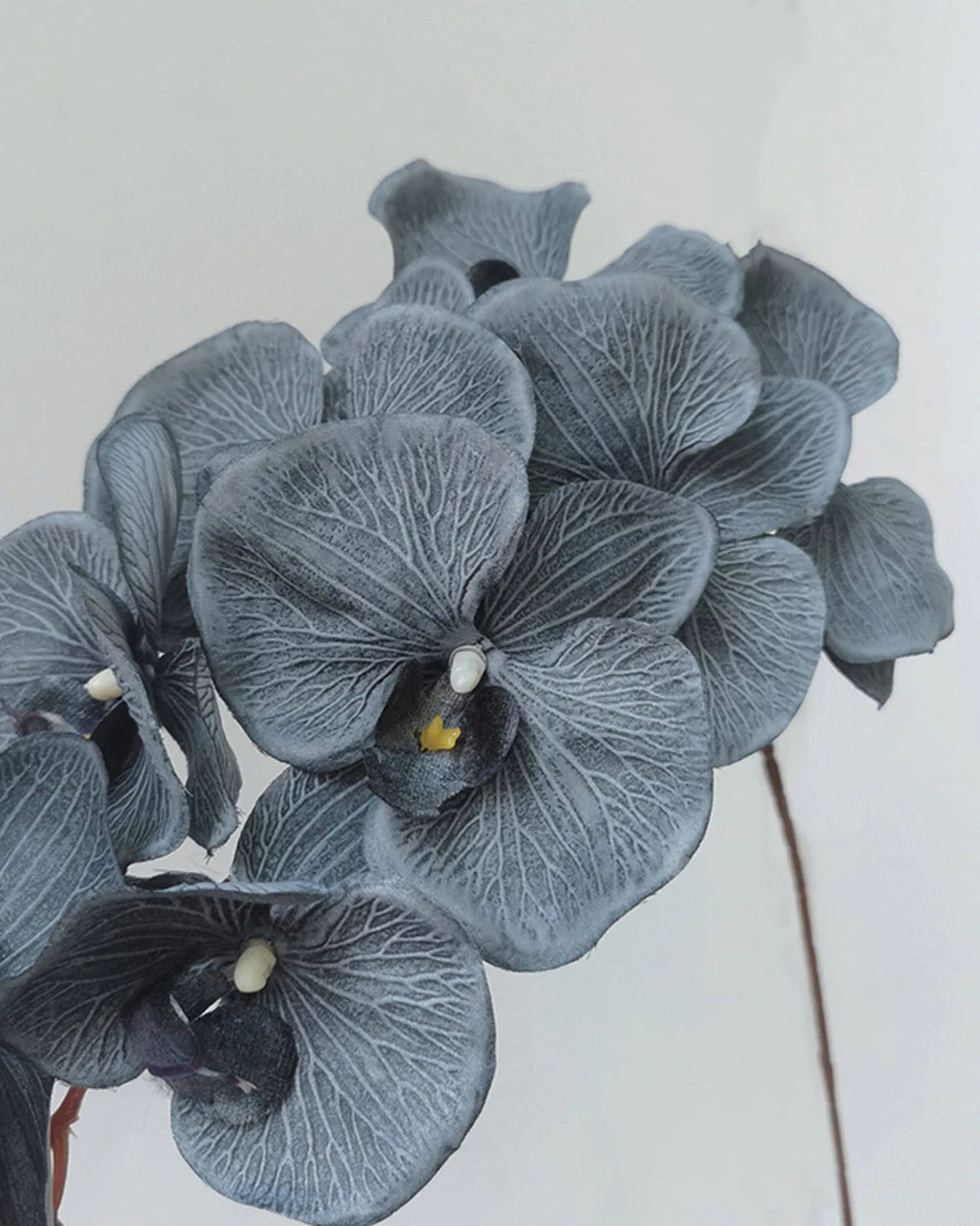 Artificial Elegant Phalaenopsis Orchid 41"