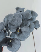 Artificial Elegant Phalaenopsis Orchid 41"