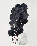 Artificial Elegant Phalaenopsis Orchid 41"