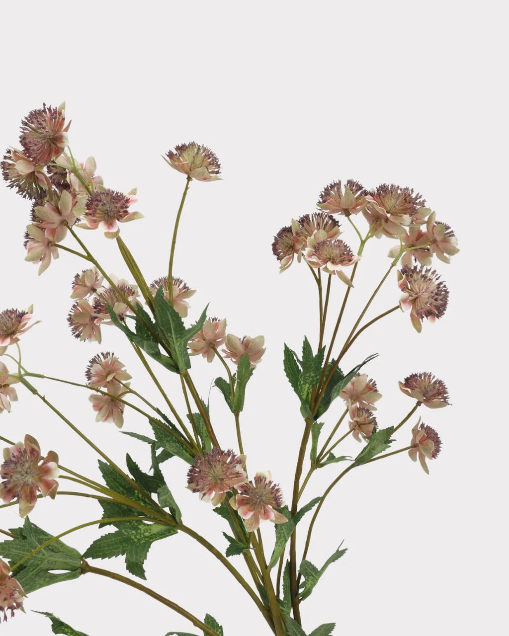 Astrantia Faux Flower in Brown - 23"