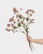 Astrantia Faux Flower in Brown - 23"