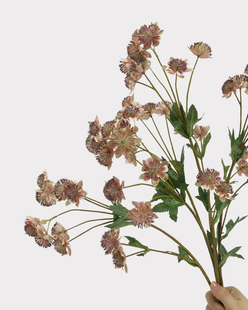 Astrantia Faux Flower in Brown - 23"