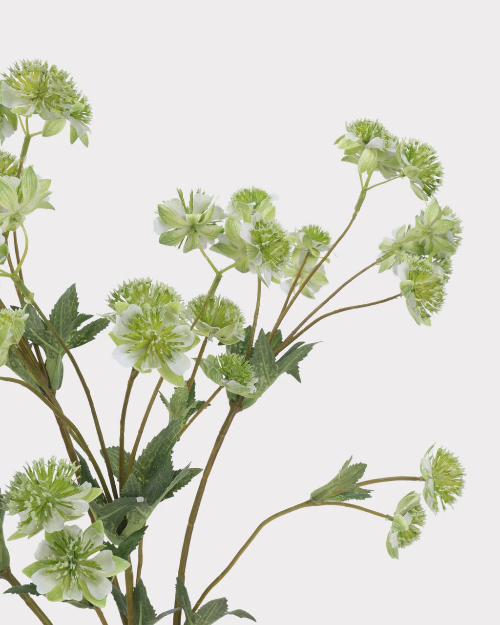 Astrantia Faux Flower in Green - 23"