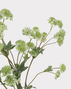 Astrantia Faux Flower in Green - 23"