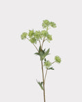 Astrantia Faux Flower in Green - 23"