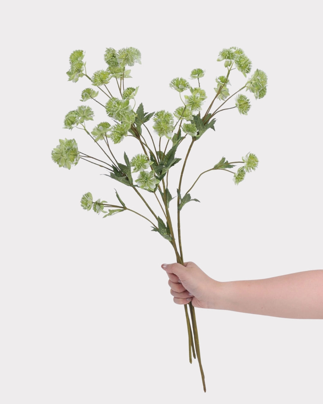 Astrantia Faux Flower in Green - 23"