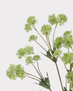 Astrantia Faux Flower in Green - 23"
