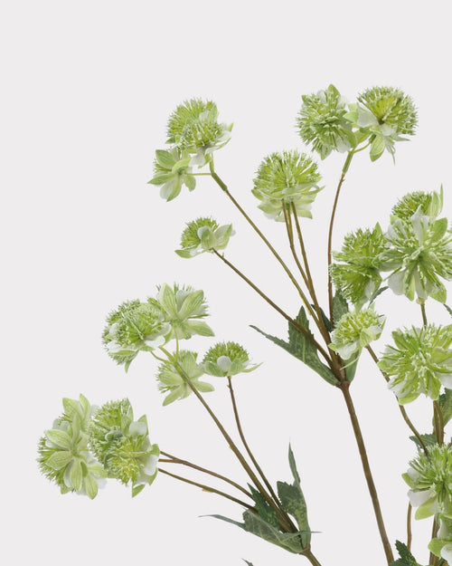 Astrantia Faux Flower in Green - 23"