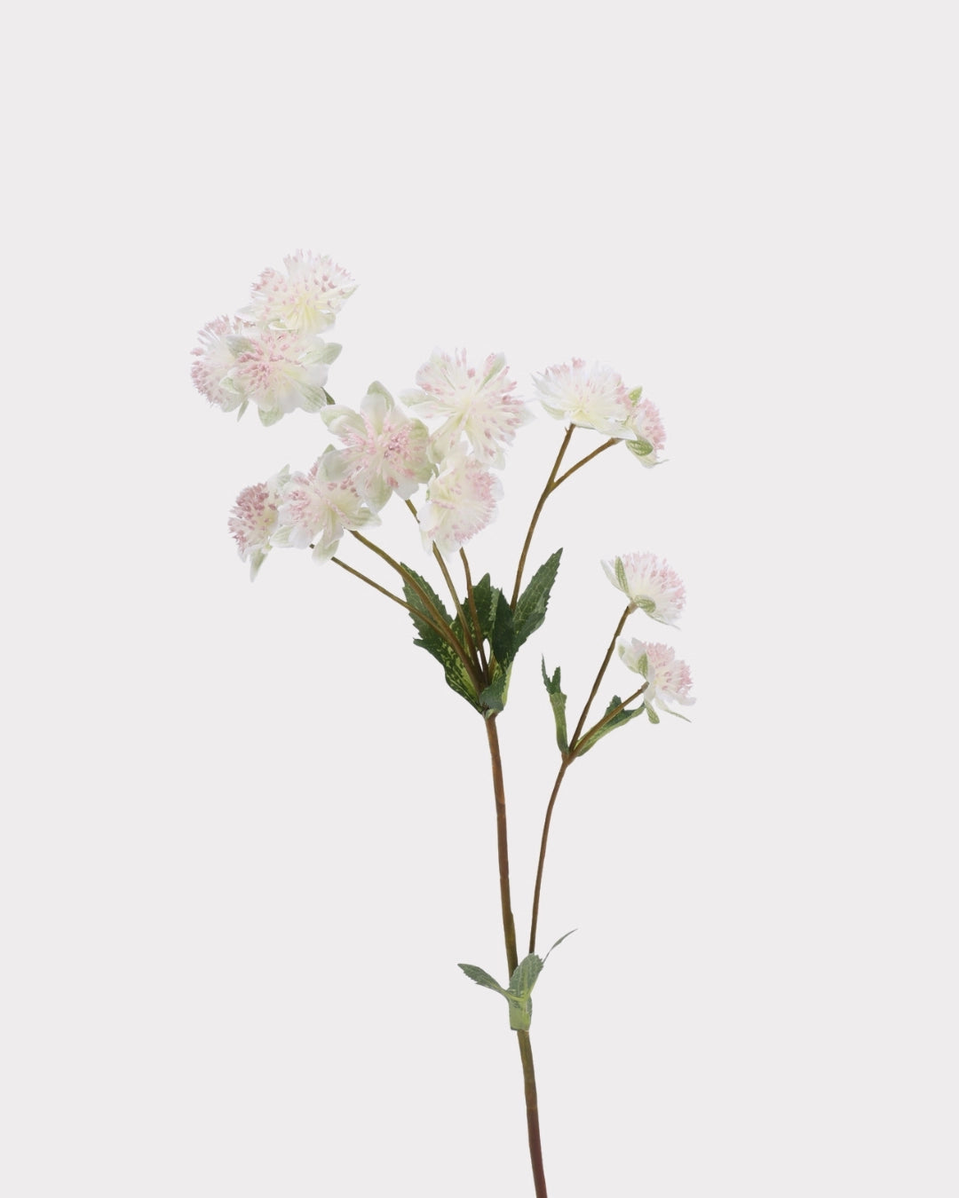 Astrantia Faux Flower in White - 23"