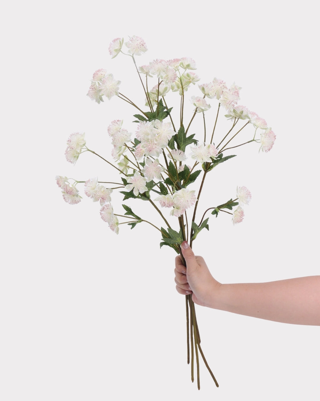 Astrantia Faux Flower in White - 23"