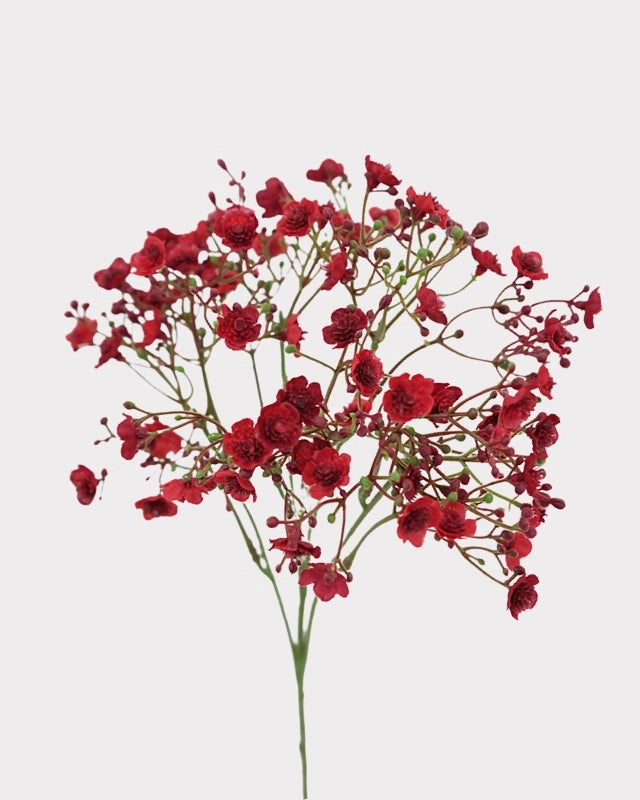 Baby's Breath Faux Flower - 19"
