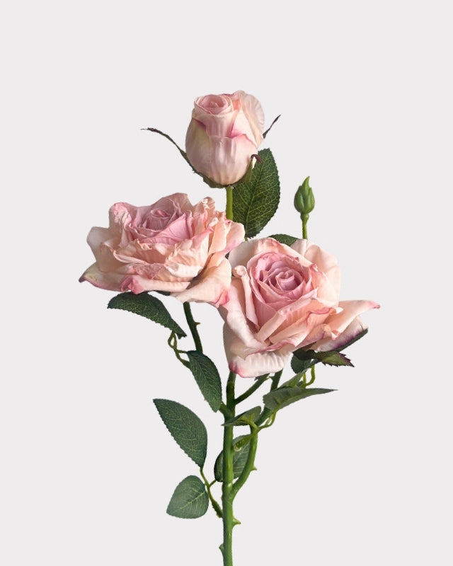 Burnt Edge Vintage Rose Faux Flower - 22"