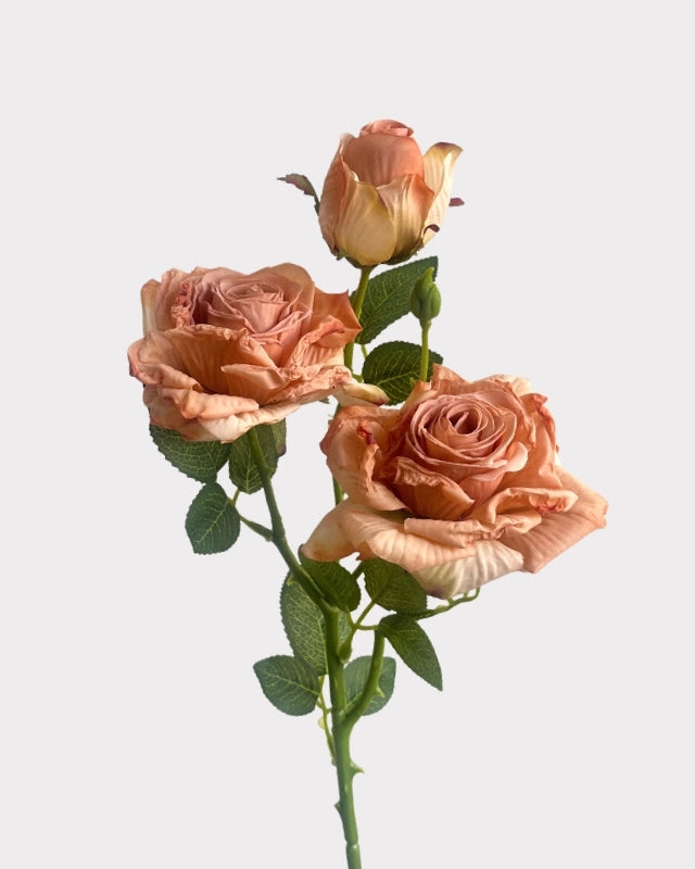 Burnt Edge Vintage Rose Faux Flower - 22"