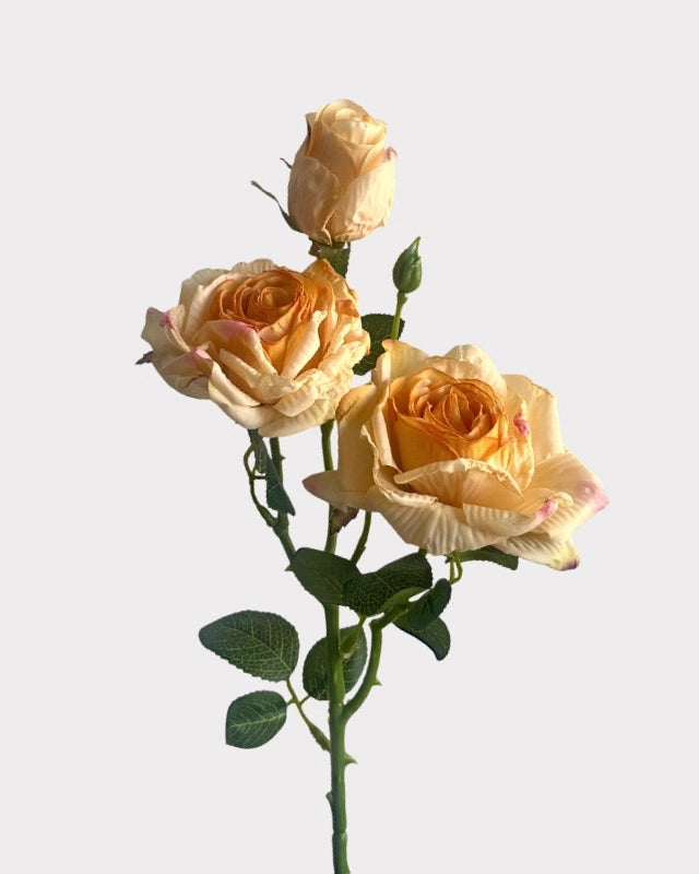 Burnt Edge Vintage Rose Faux Flower - 22"