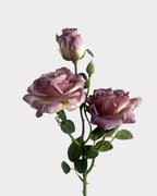 Burnt Edge Vintage Rose Faux Flower - 22"