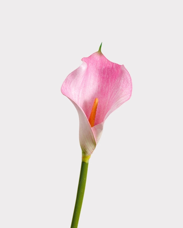Calla Lily Faux Flower - 20"