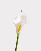 Calla Lily Faux Flower - 20"