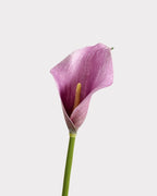 Calla Lily Faux Flower - 20"