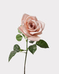 Carola Rose Faux Flower Stem – 25.6"