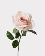 Carola Rose Faux Flower Stem – 25.6"