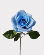 Carola Rose Faux Flower Stem – 25.6"
