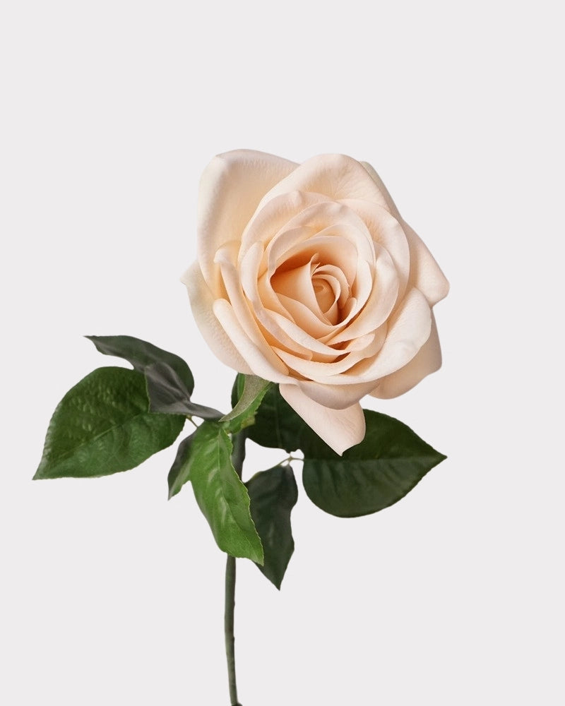 Carola Rose Faux Flower Stem – 25.6"