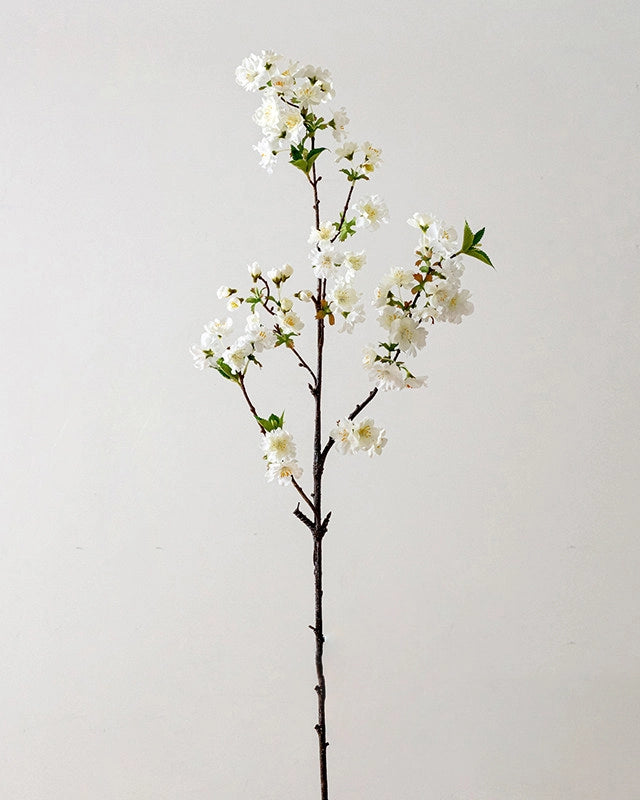 Cherry Blossom Faux Branch in White - 37"