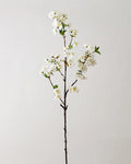 Cherry Blossom Faux Branch in White - 37"