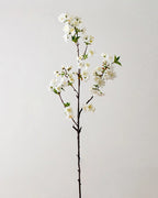 Cherry Blossom Faux Branch in White - 37"