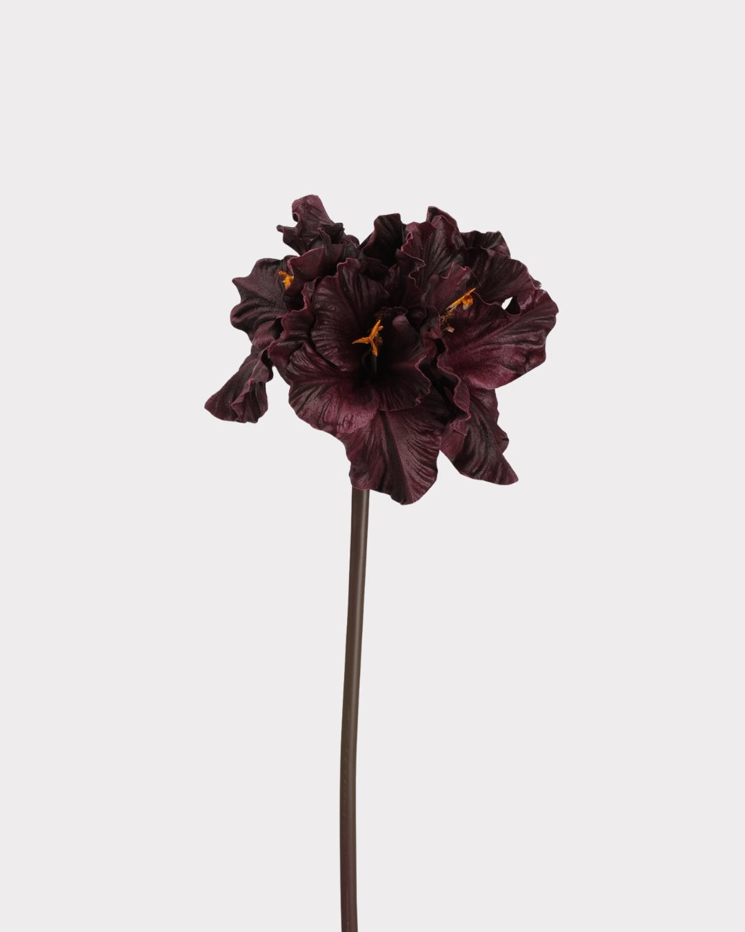 Clivia Gladiolus Faux Flower in Burgundy - 28"