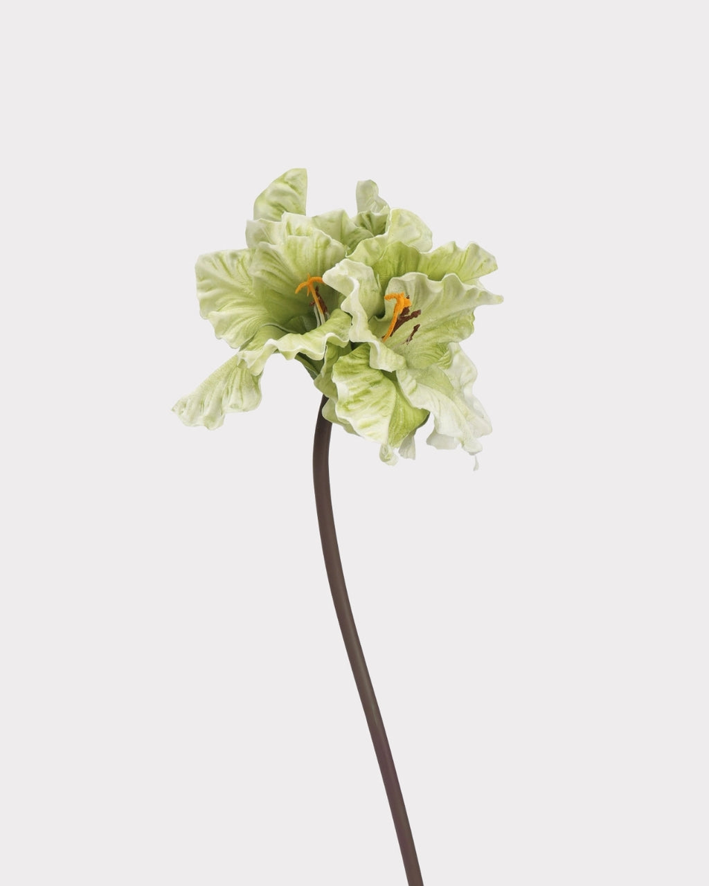 Clivia Gladiolus Faux Flower in Green - 28"