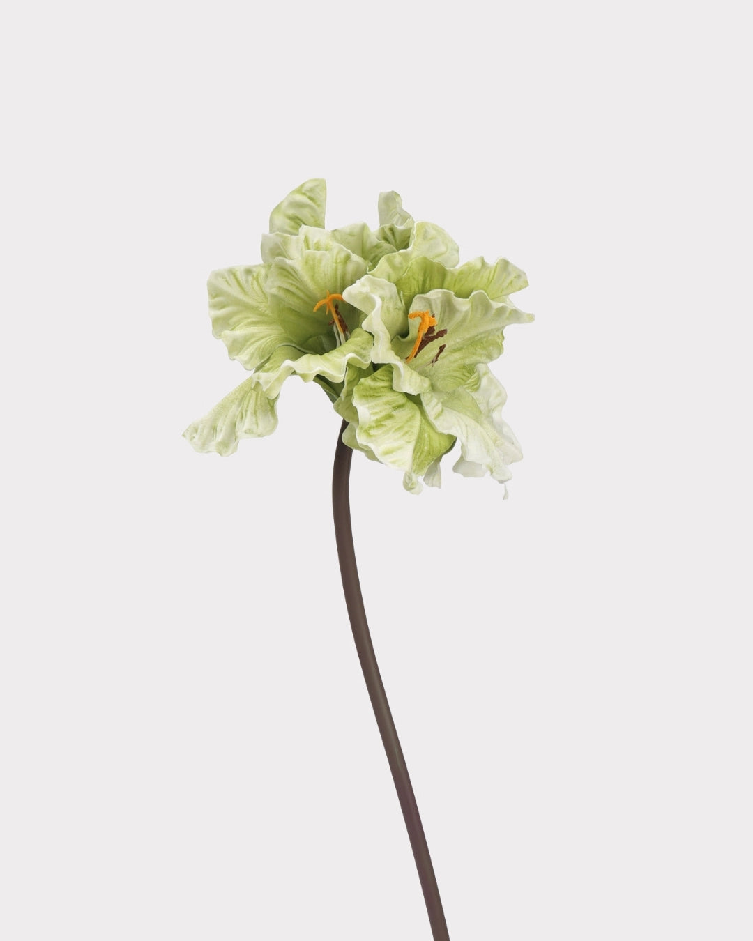 Clivia Gladiolus Faux Flower in Green - 28"