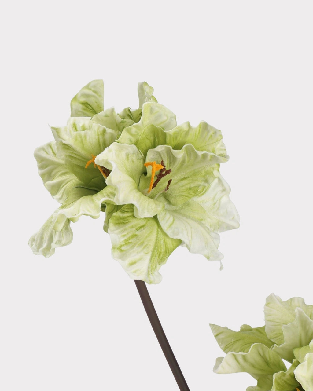 Clivia Gladiolus Faux Flower in Green - 28"