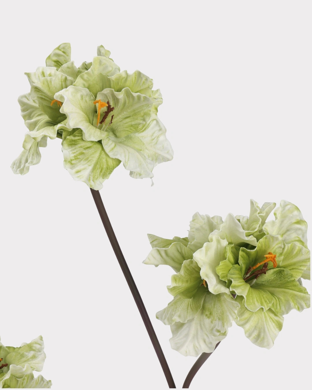 Clivia Gladiolus Faux Flower in Green - 28"